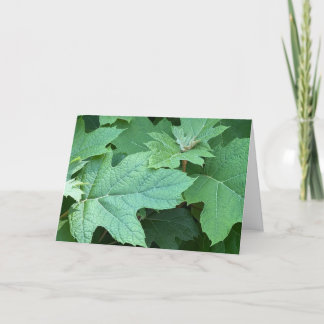 Oakleaf Hydrangea Blank Note Card