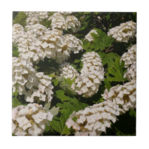 Oakleaf Hydrangea Ceramic Tile