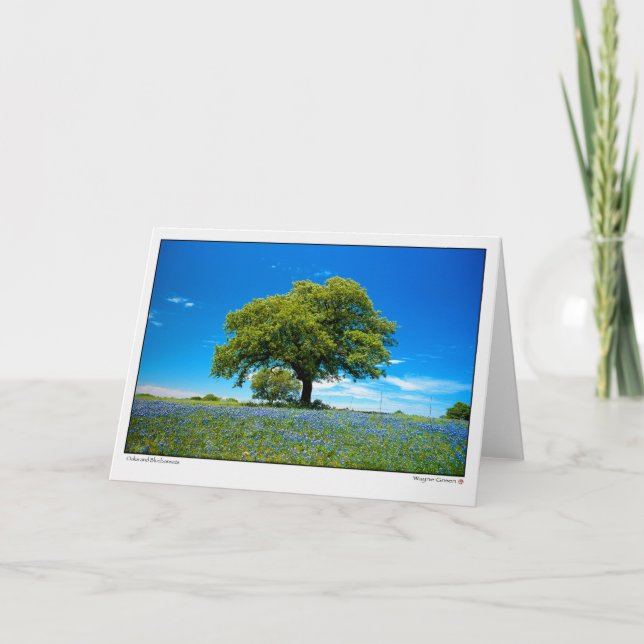 Oaks and Bluebonnets - Texas Card (Front)