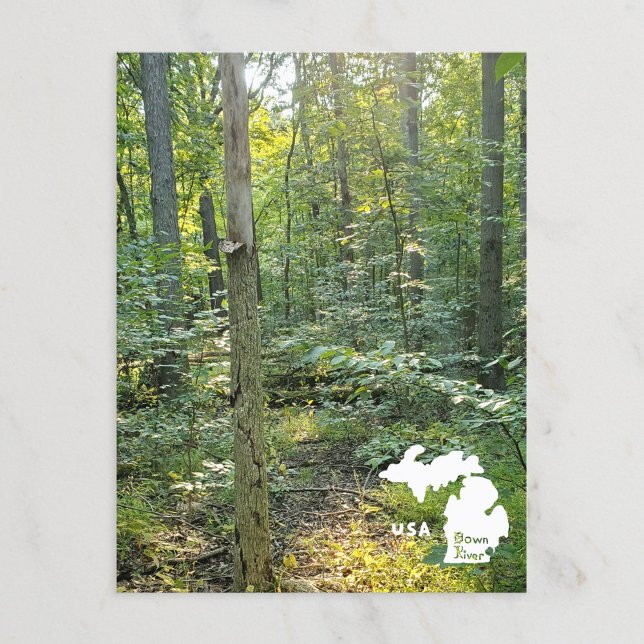 Oakwoods Metropark Trail Summer Forest With Logo Postcard (Creator Uploaded)