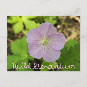 Oakwoods Metropark Wild Geranium with Text Postcard