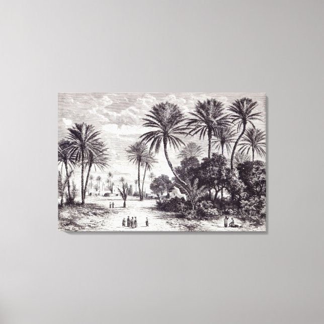 Oasis of Gafsa: Tunis Canvas Print (Front)