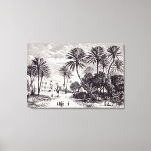 Oasis of Gafsa: Tunis Canvas Print