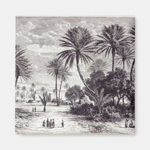 Oasis of Gafsa: Tunis Magnet