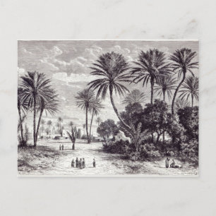 Oasis of Gafsa: Tunis Postcard