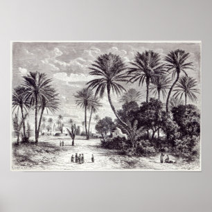 Oasis of Gafsa: Tunis Poster