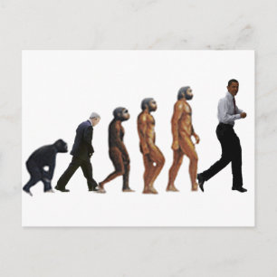 Obama Evolution Postcard