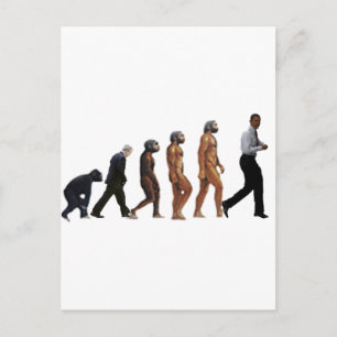 Obama Evolution Postcard