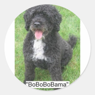 Obama Pet Portuguese Water dog Classic Round Sticker
