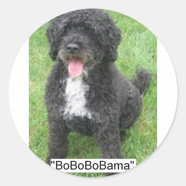 Obama Pet Portuguese Water dog Classic Round Sticker (Front)