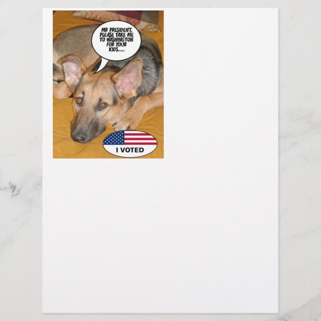 Obama Pet/Whitehouse Humour (Front)