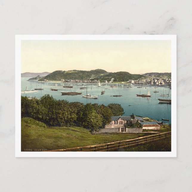 Oban Bay, Argyll and Bute, Scotland Postcard (Front)
