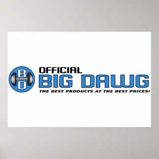 OBD BANNER POSTER