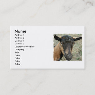 Oberhasli brown goat head shot in colour business card