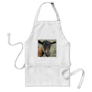 Oberhasli brown goat head shot in colour standard apron