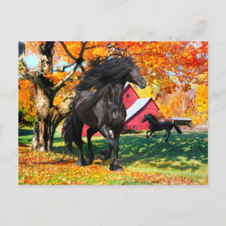"Oberon In Autumn"  Postcard