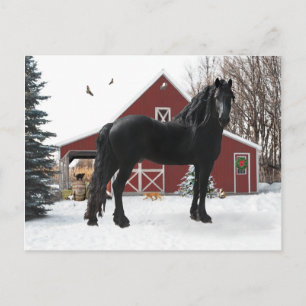 "Oberon In Winter" Postcard