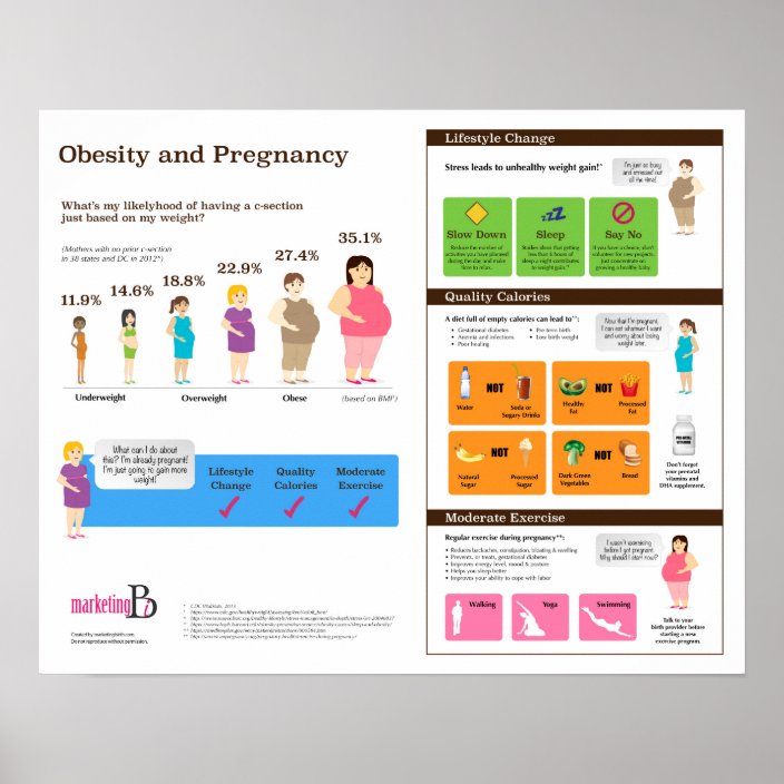 Obesity And Pregnancy 20 X 16 Infographic Poster Zazzle 7717