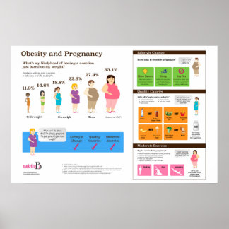 Obesity and Pregnancy 36" x 24" Infographic Poster