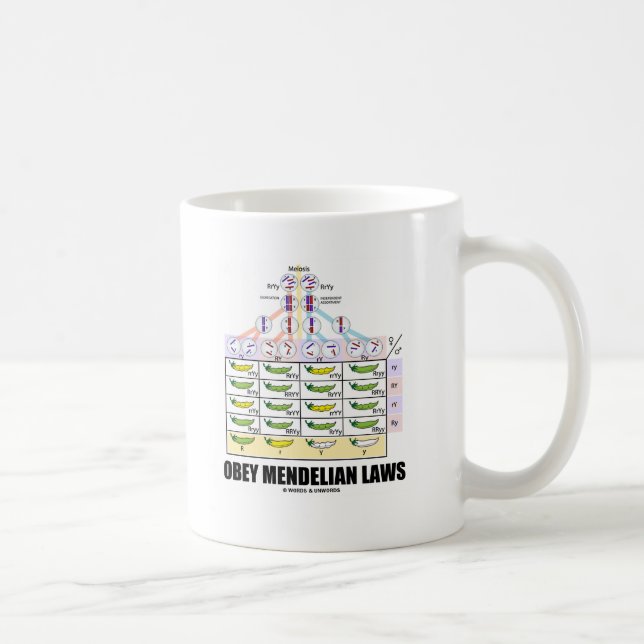 Obey Mendelian Laws (Dihybrid Cross Peas) Coffee Mug (Right)