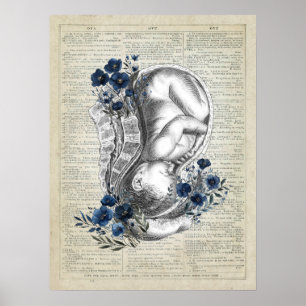 OBGYN Gift Anatomy of Baby in Womb w/ Blue Florals Poster