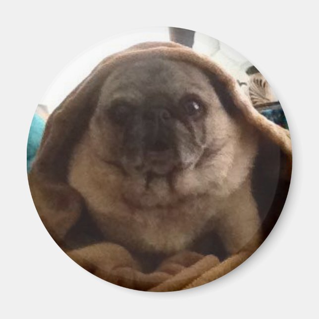 Obi One Pugnobi Magnet (Front)