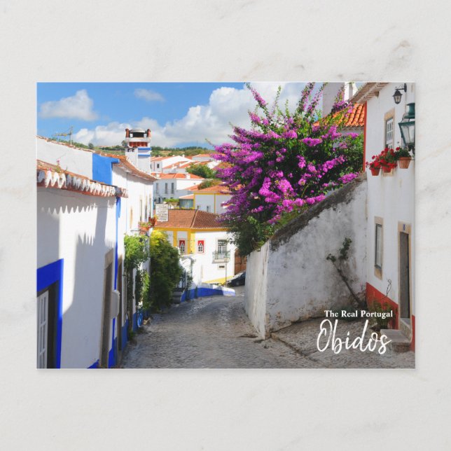 Obidos Castle-The Real Portugal Postcard (Front)