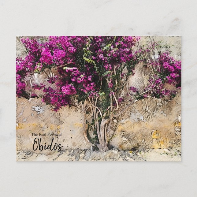 Obidos Colours Portugal  Postcard (Front)