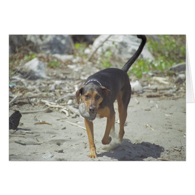 Obie Card  (Front Horizontal)