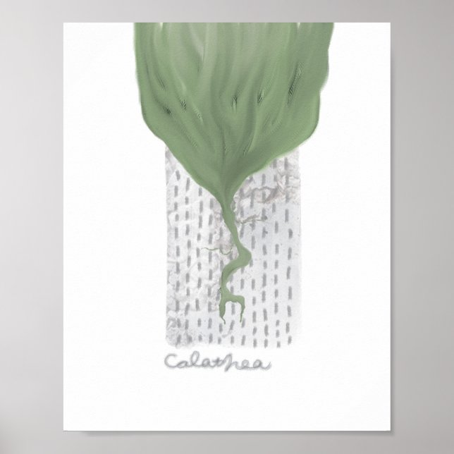 objet_1_calathea matte poster (Front)