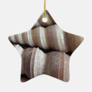 Oblong  Summer Seashells, Summer Season Ceramic Tree Decoration