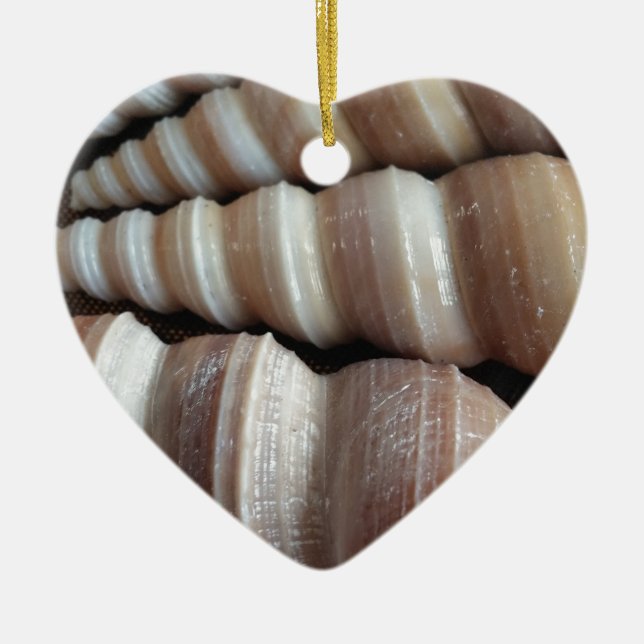Oblong  Summer Seashells, Summer Season Ceramic Tree Decoration (Front)