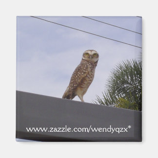 Observant Owl Magnet