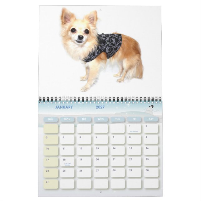 Obsessive Chihuahua Disorder 2011 Calendar (Jan 2027)