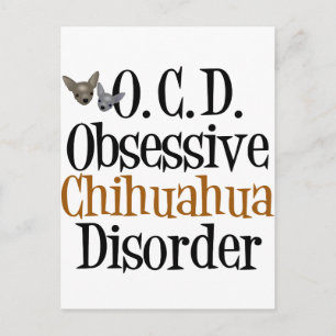 Obsessive Chihuahua Disorder Postcard