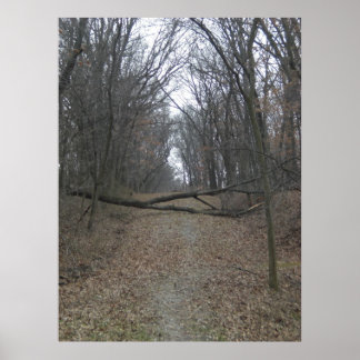 Obstacle in the Road Poster