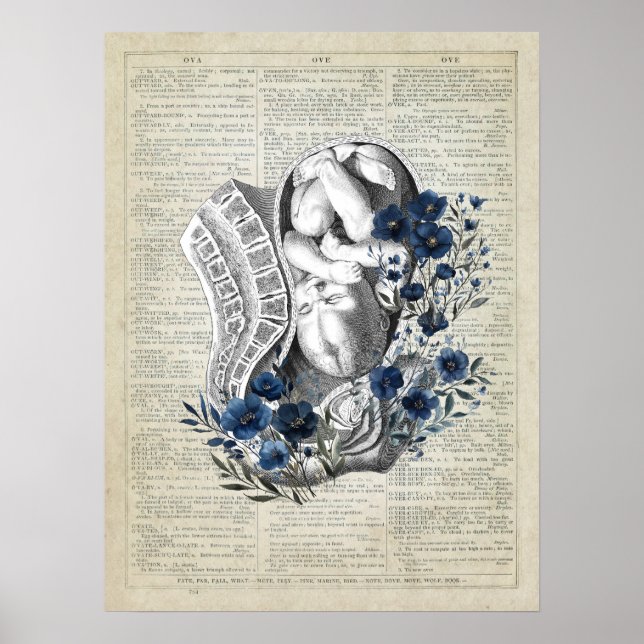 Obstetrics Baby in Womb Anatomy Blue Floral Art Poster (Front)