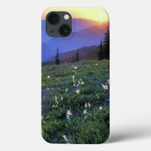 Obstruciton Point Sunset, Olympic NP, WA, USA iPhone 13 Case