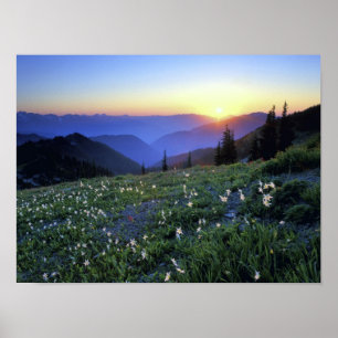 Obstruciton Point Sunset, Olympic NP, WA, USA Poster