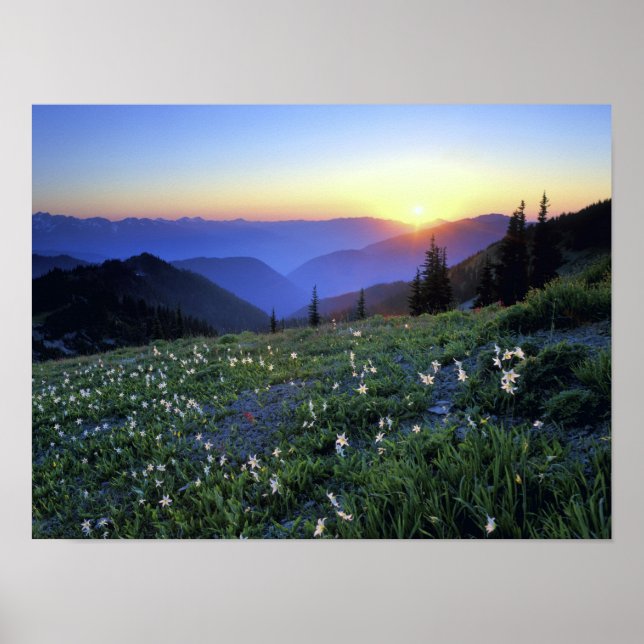Obstruciton Point Sunset, Olympic NP, WA, USA Poster (Front)