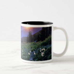 Obstruciton Point Sunset, Olympic NP, WA, USA Two-Tone Coffee Mug
