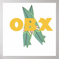 OBX pogue life outer banks