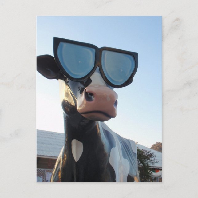 OC Fair Postcard (Front)