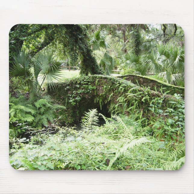Ocala Florida Forest Footbridge mousepad photo art (Front)