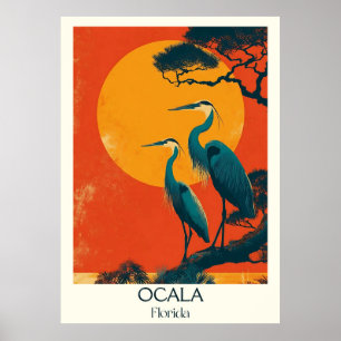 Ocala Florida Vintage Nature Wildlife Travel Art Poster