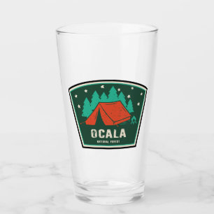 Ocala National Forest Camping Glass