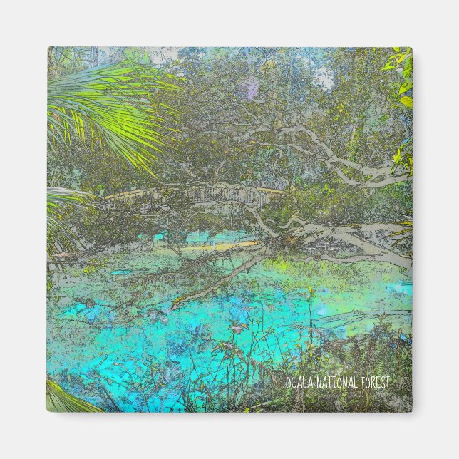 Ocala National Forest Florida Magnet (Front)