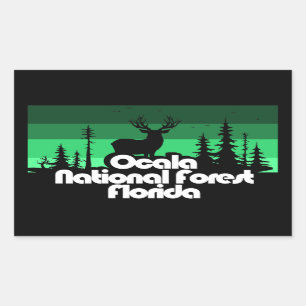 Ocala National Forest Florida Rectangular Sticker