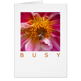 Occassion Card: Busy Bee