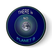 Occupy Planet Earth "There is NO Planet B" Button